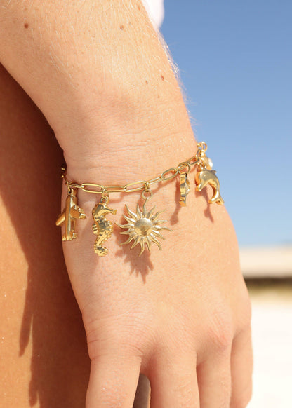 Vacation Charm Set (9pc)